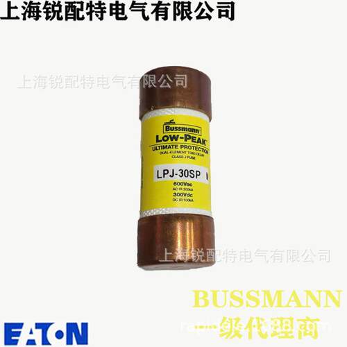 LPJ-30SP 延时保险丝 600V 30A 巴斯曼BUSSMANN熔断器