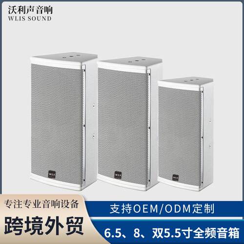 全频无源6.5寸会议音箱套装教学多媒体专业音响政企会议壁挂音响