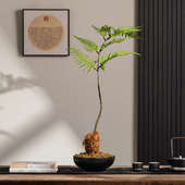 景观摆件装 饰品书房茶艺仿真花植物新造景中式 室微文竹案头