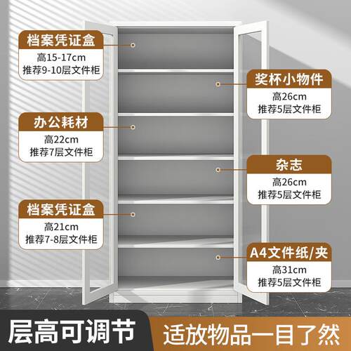 财务会计凭证柜档案柜资料柜铁皮文件柜办公室收纳柜子带锁储物柜