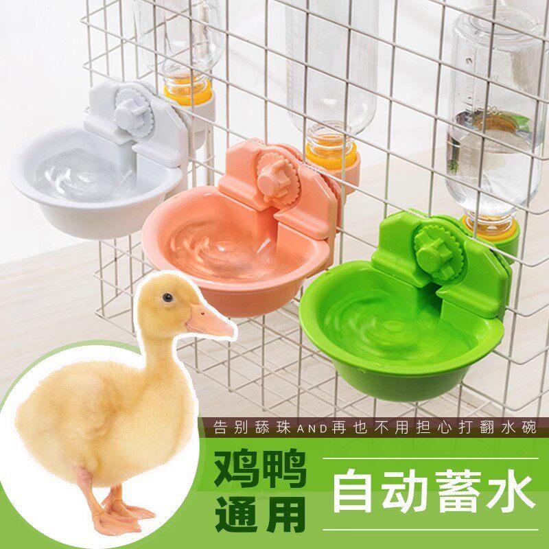 鸭子自动饮水器喝水壶柯尔鸭喂水器小芦丁鸡宠物鸡食盆饭碗专用品
