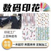 梭织针织布 数码 涤纶印花 热转印印花 印花布可DIY来图 印花面料