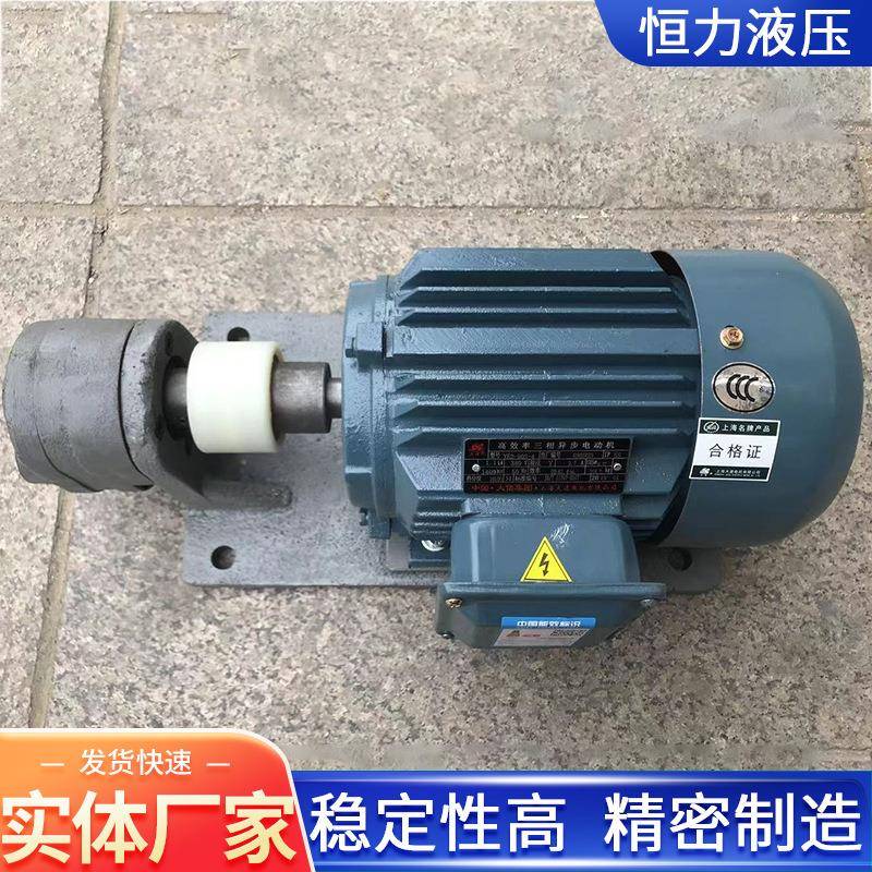 大功率齿轮减速电机加工WBZ卧式液压齿轮泵电机组三相异步电动机