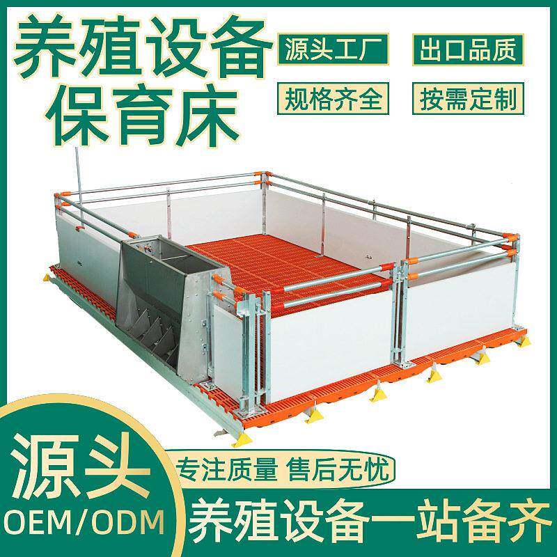 正红畜牧养殖设备pvc板仔猪欧式保育床养殖场小猪保育产床