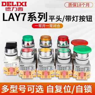 德力西LAY7-11BN开关按钮电源自复位按压式自锁启动平头旋钮带灯