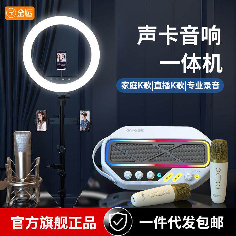 C20声卡音响一体机专业直播全套吃播户外便携手机直播套装专用