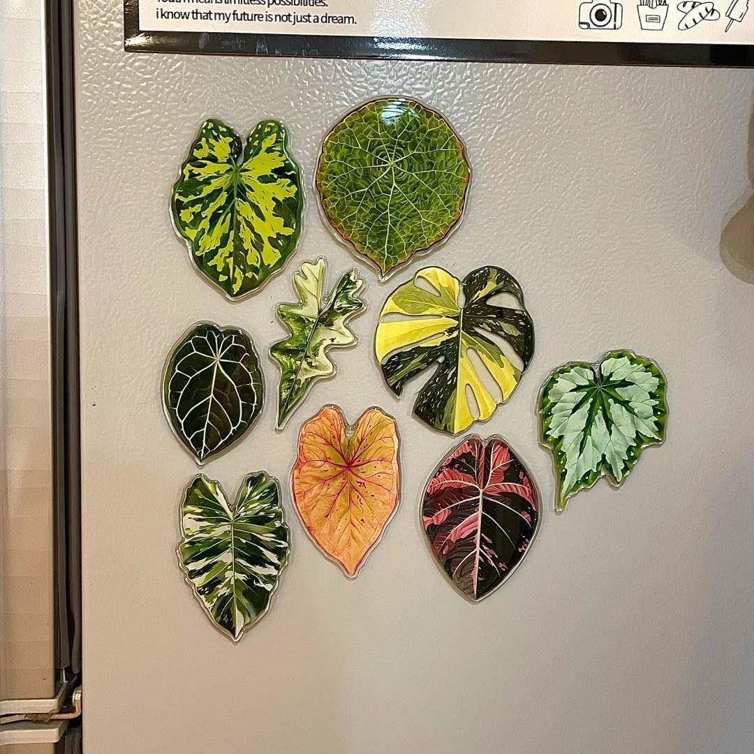 热带珍稀植物冰箱贴磁铁2025新款创意绿植叶子装饰贴饰治愈系礼物