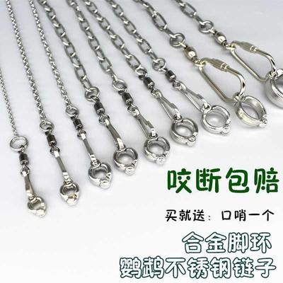 鹦鹉脚环脚链不锈钢鸟链子八哥伯劳牡丹玄凤虎皮开口环鸟站架活扣
