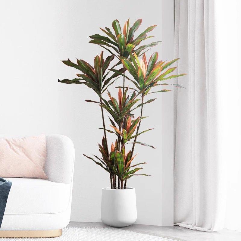 真绿植红铁树盆栽高端轻仿大型假67Z62982植物室内沙发客奢厅落地