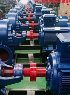 山东厂家直供 YE-55M2-6/200KW YE系列三相异步电动机质量保障