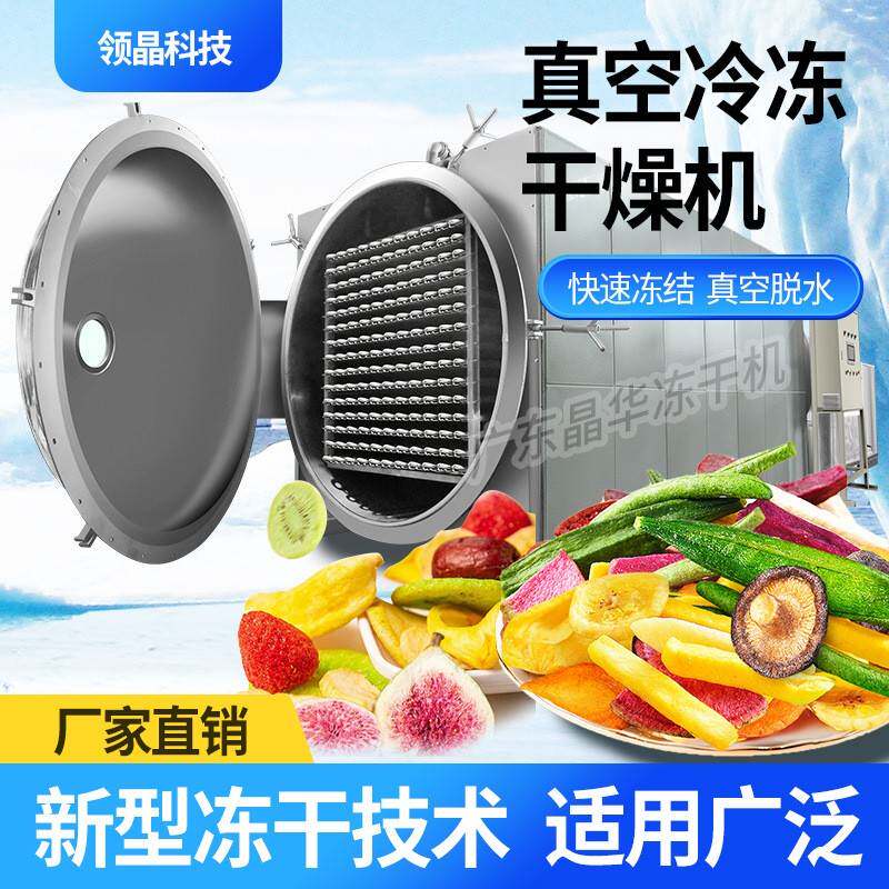广东真空冷冻干燥机大型脱水机水果蔬菜狗粮商用冻干机