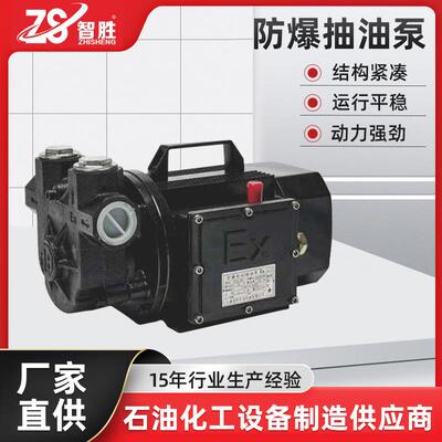 不锈钢手提式便携电动直流防爆抽油泵220V750W工业汽油柴油抽油泵