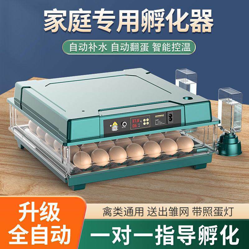 【新款上市】全自动孵化器小型家用孵化机小鸡孵蛋器芦丁鸡孵化箱