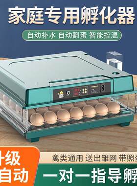 【新款上市】全自动孵化器小型家用孵化机小鸡孵蛋器芦丁鸡孵化箱