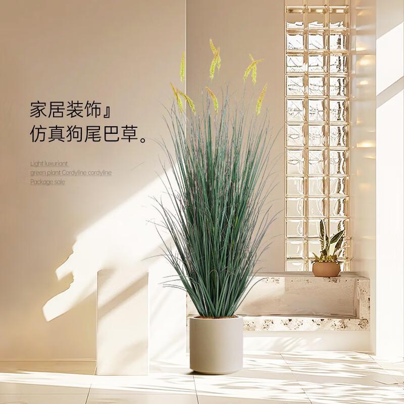 狗尾巴草仿真植芦苇草奶油绿5-10狗尾室客厅仿生植物盆栽风落内地