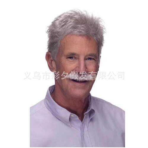 新款直销欧美中老年短直发外贸卷发银灰色士假发 欧美艺术发工厂