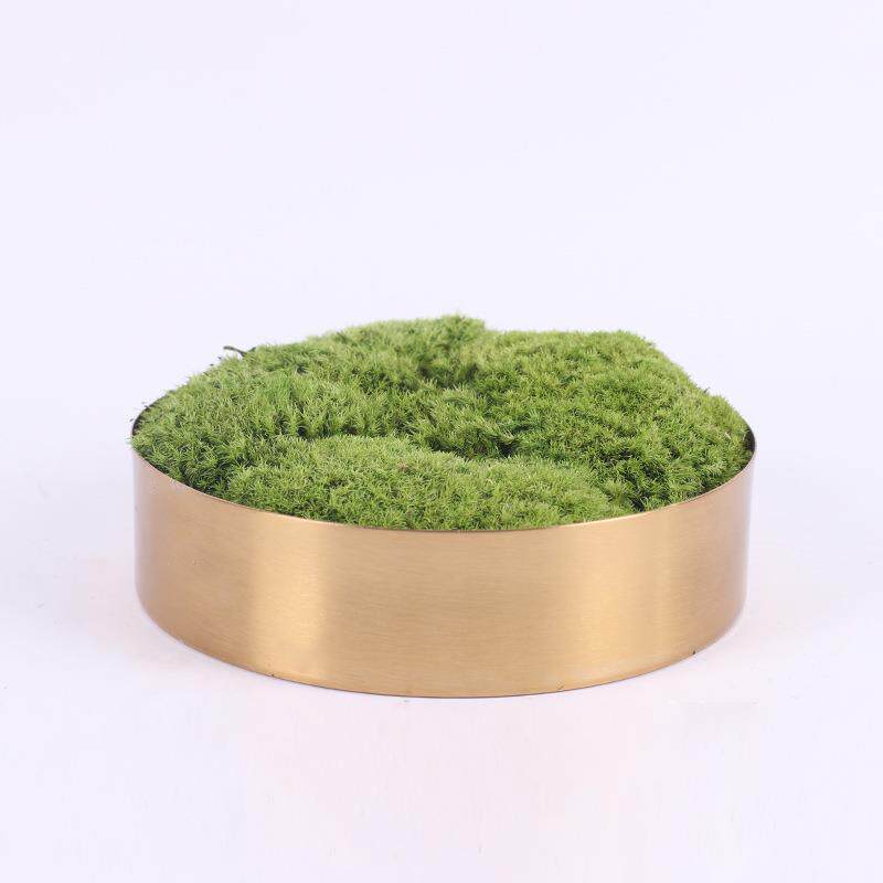 新中式仿真微观绿植枯山水盆景售楼处洽谈桌书房 永生苔藓