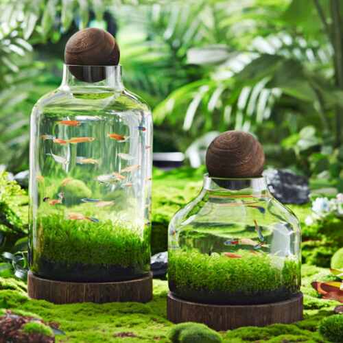 厂直销生态鱼瓶玻璃鱼缸微景观鱼虾水草自循环办公室迷你植物花瓶