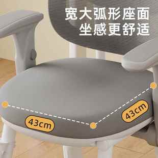 升儿童学习正Y33椅升降矫坐子姿小学生写作业椅可调节降追背四脚