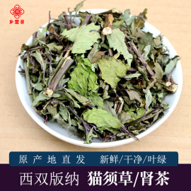 云南西双版纳猫须草中药材，猫须公牙努秒新鲜肾茶化石，草原产地