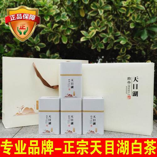 常州2025新茶220g珍稀白茶溧阳白茶天目湖白茶叶特级礼盒装明前产