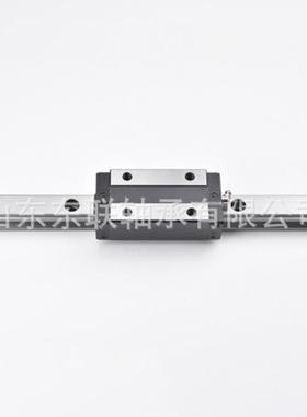 TRS20BS方型低组短滑块