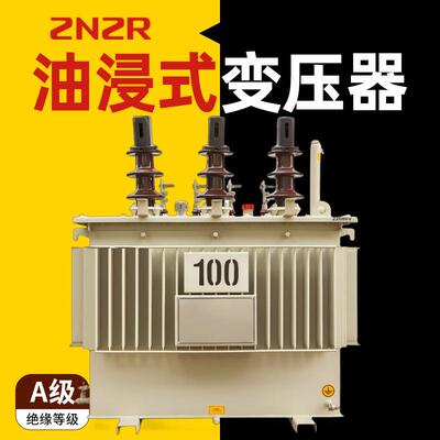 节能11kv户外100kva油浸式变压器200kw输入35kv/415铜300kw变压器