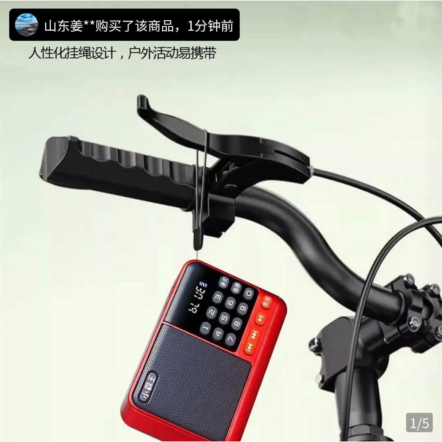 安楠德国迷你可携式口袋收音机老人大音量收音机小霸王蓝牙音箱音