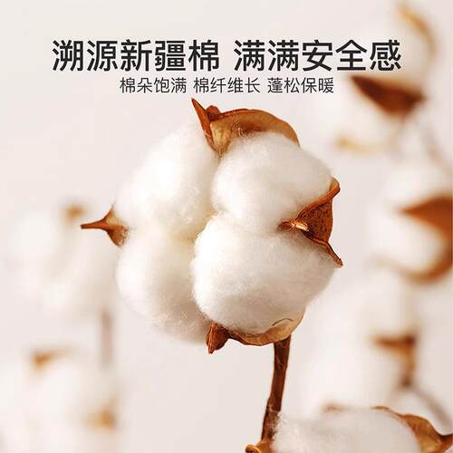 2025新款磨毛加厚全棉床上四件套秋冬纯棉被套学生宿舍床单三件套