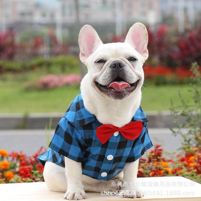 新款狗狗格子衬衫西装结婚礼服法斗巴哥小中大型犬宠物衣服猫咪用