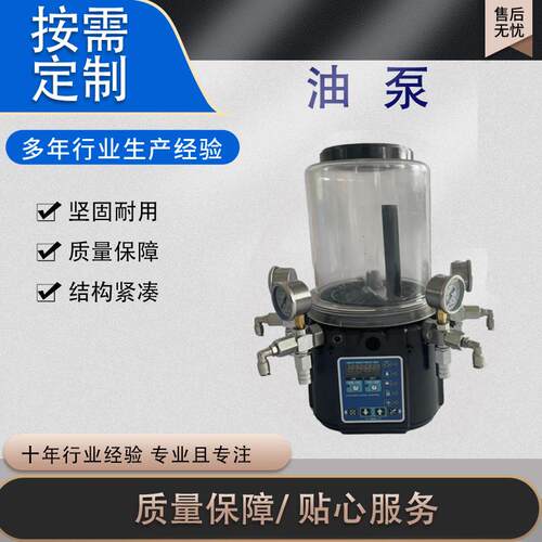 搅拌机主机电动润滑油泵工程机械润滑泵2L4L电动黄油泵厂家现货