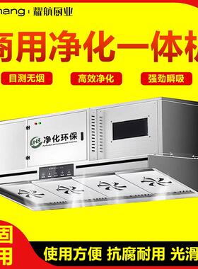 油烟净化器一体机商用抽油烟机饭店餐饮低空直排大吸力烟机