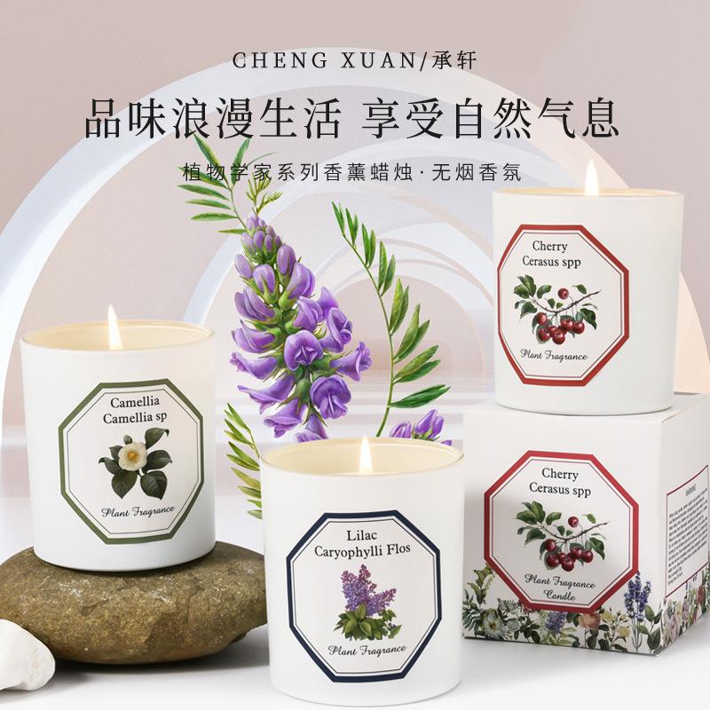 伴手礼植物植物香薰香薰大豆蜡片