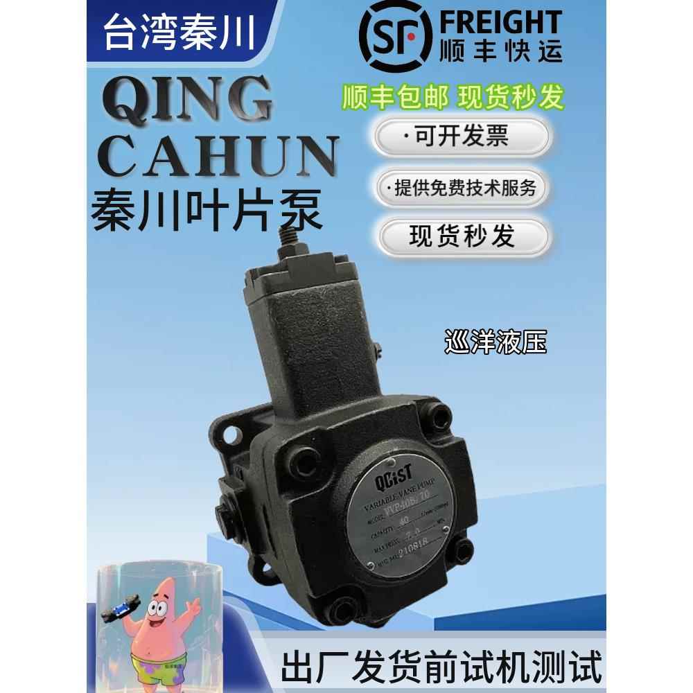 QCIST秦川机床数控油泵VVP15B/20 VVP20B/35 VVP30B/55 VVP40B/70