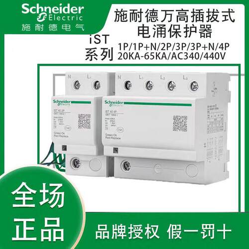 浪涌保护器iST系列iST204PA9L916624避雷器2P电涌防雷器固定式