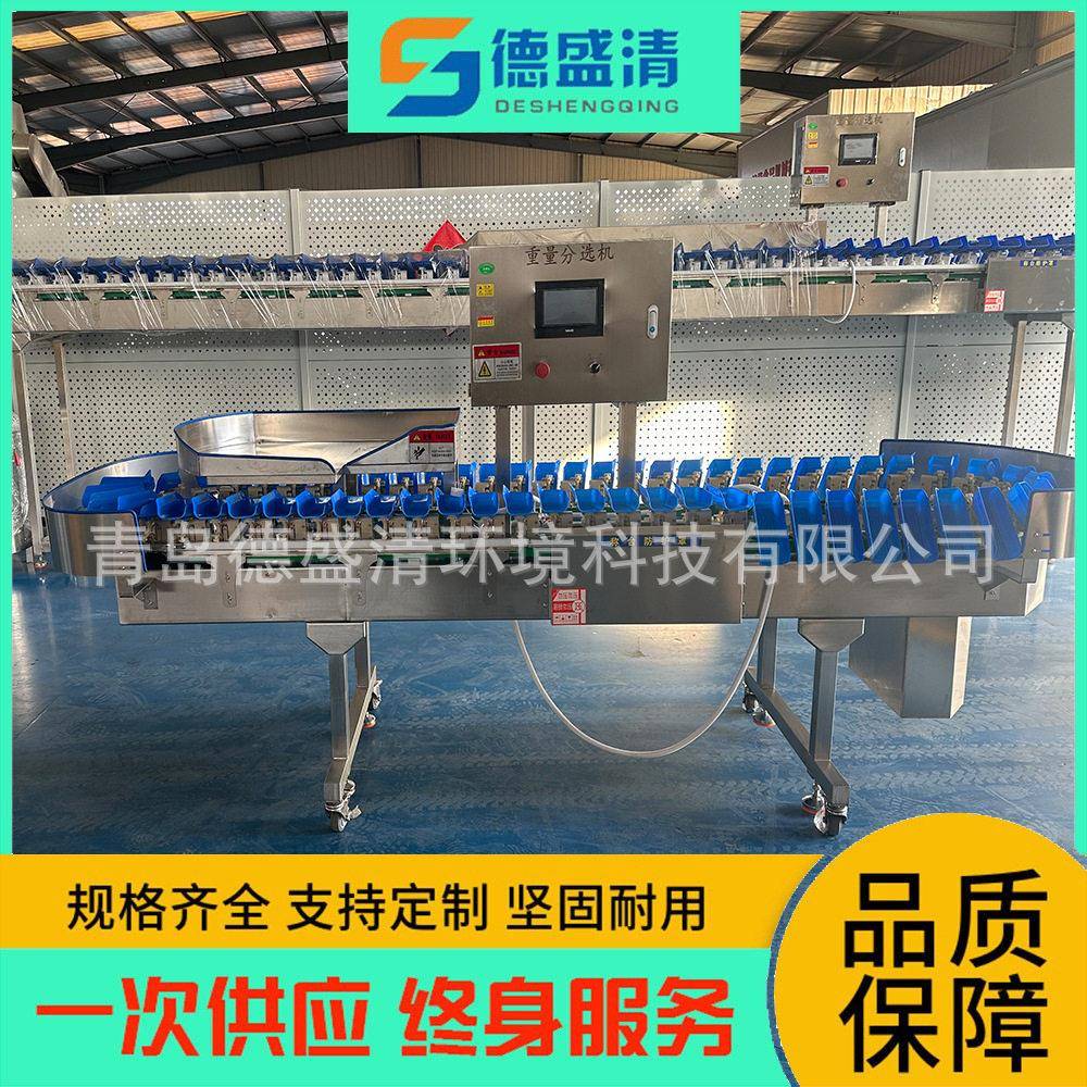 水果称重分选机火龙果橙子分选设备全自动海鲜重量分级机