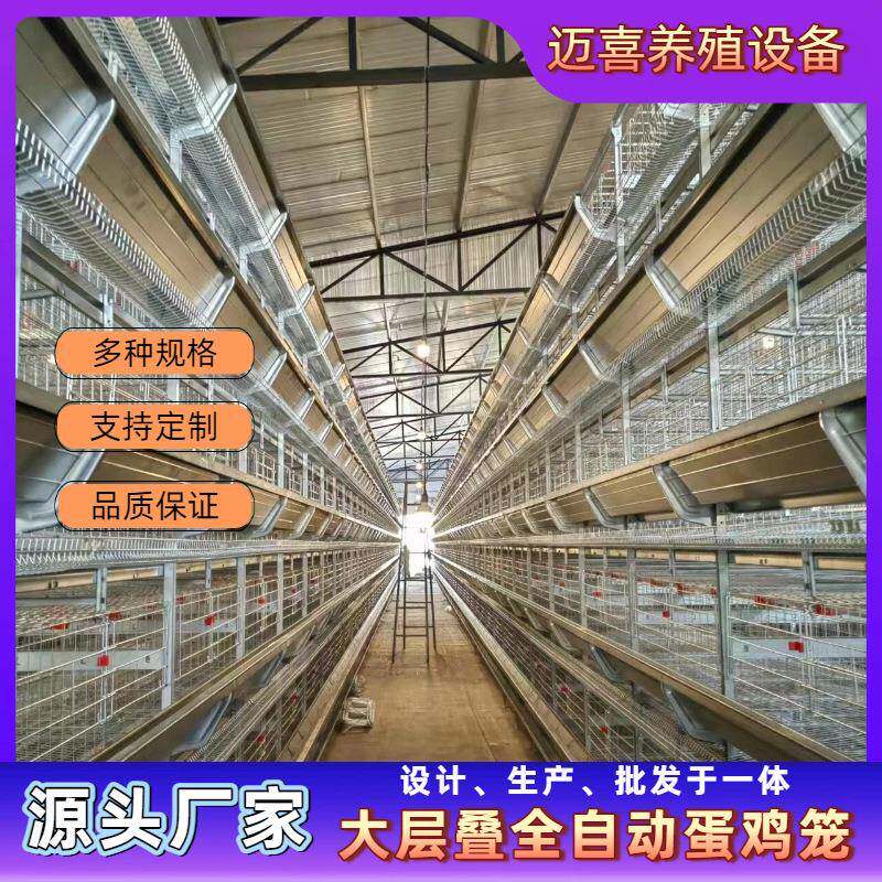大层叠全自动化蛋鸡笼养鸡场专业养殖设备自动化养鸡自动喂料