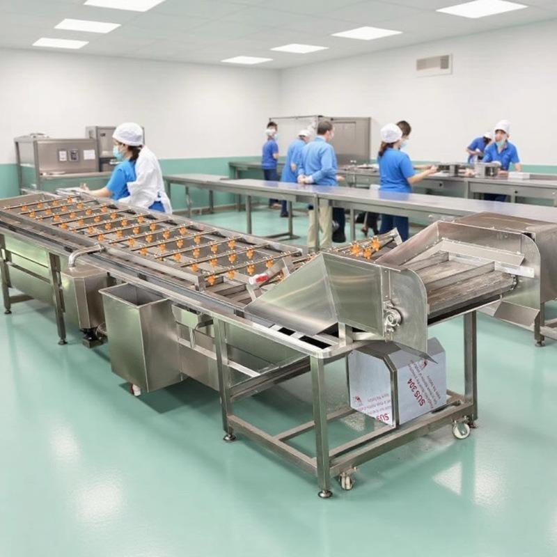 大型黄瓜鼓泡清洗机商用荠菜气泡清洗机多功能连续式树莓清洗设备