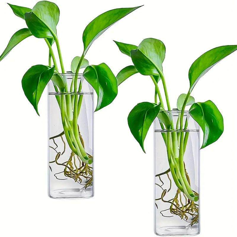 壁挂花瓶玻璃创意客厅墙壁装饰透明简约水培插花墙上绿萝植物花盆