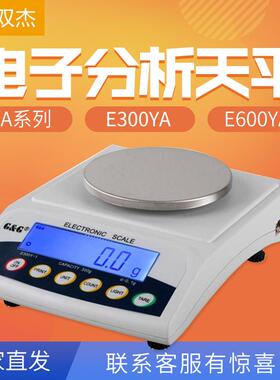 常熟双杰E300YAE/EY系系电子分析天平