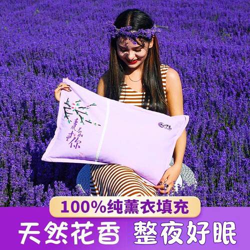 新疆伊犁纯薰衣草枕头全熏衣草助睡眠安神花草香枕芯单人保健枕头