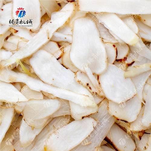 广东TS-Q1瓜00型果切丝机 酒239店土切丝机 豆萝卜切丝机牛 蒡切