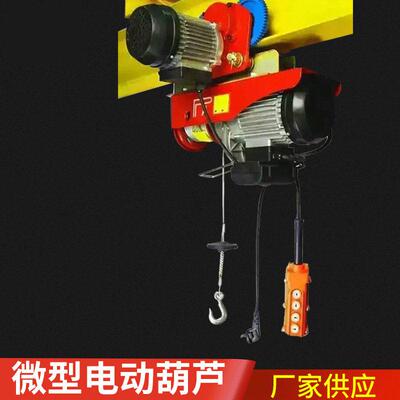 微型电动葫芦PA300钢丝绳环链起重220v家用轻型小吊机卷扬机