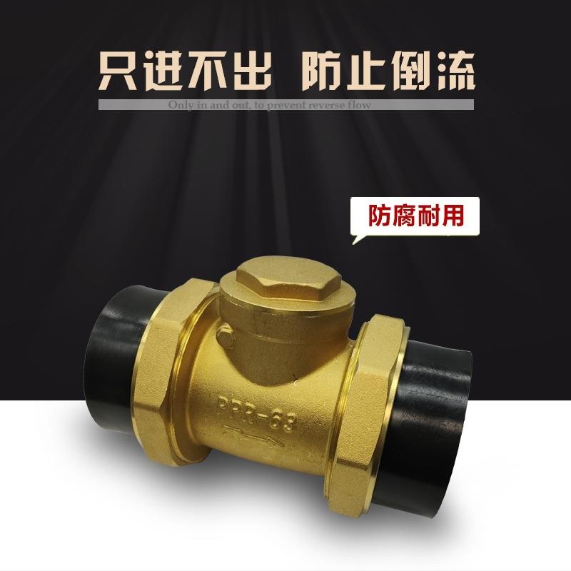 pe水管止回阀止回流自来水管道工程用活接热熔铜止回阀dn20