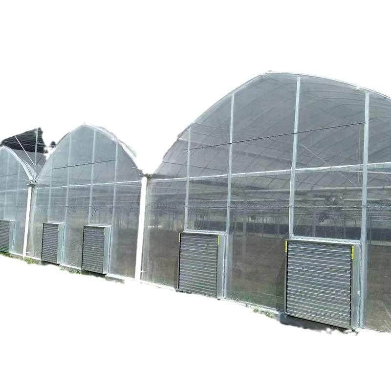 厂家安装薄膜连栋温室大棚花卉育苗种植大棚农业蔬菜连栋温室大棚,农机/农具/农膜,温室大棚支架,淘宝优惠券,粉丝福利购,淘宝优惠卷