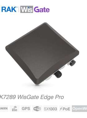 LoRaWAN® 室外网关 物联网通讯网关SX1303标准协议RAK7289V2/CV2