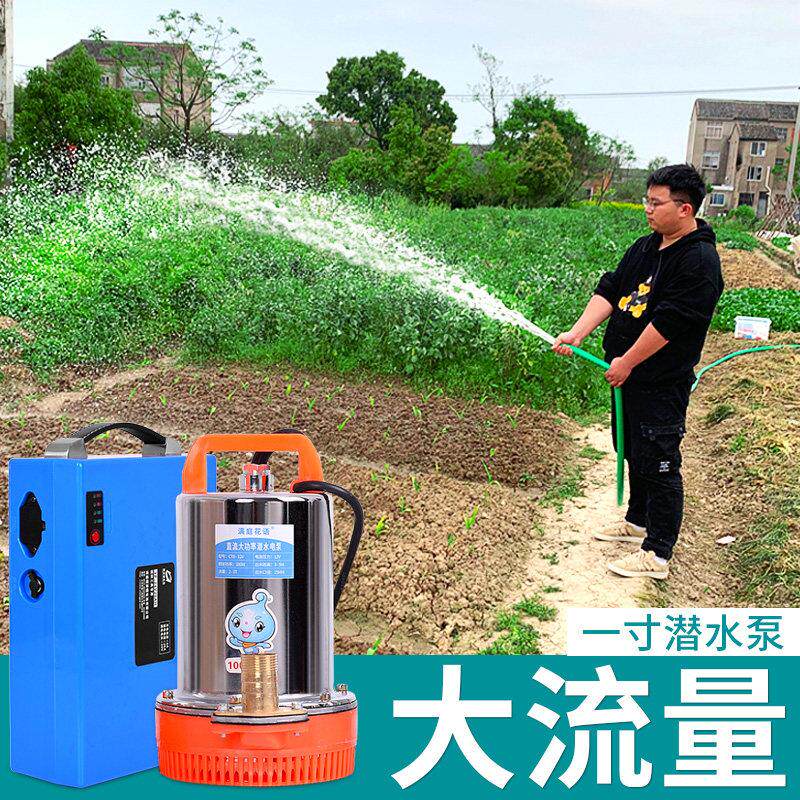 充电浇菜水泵农用灌溉户外家用小型抽水机12/48v电动车直流潜水泵