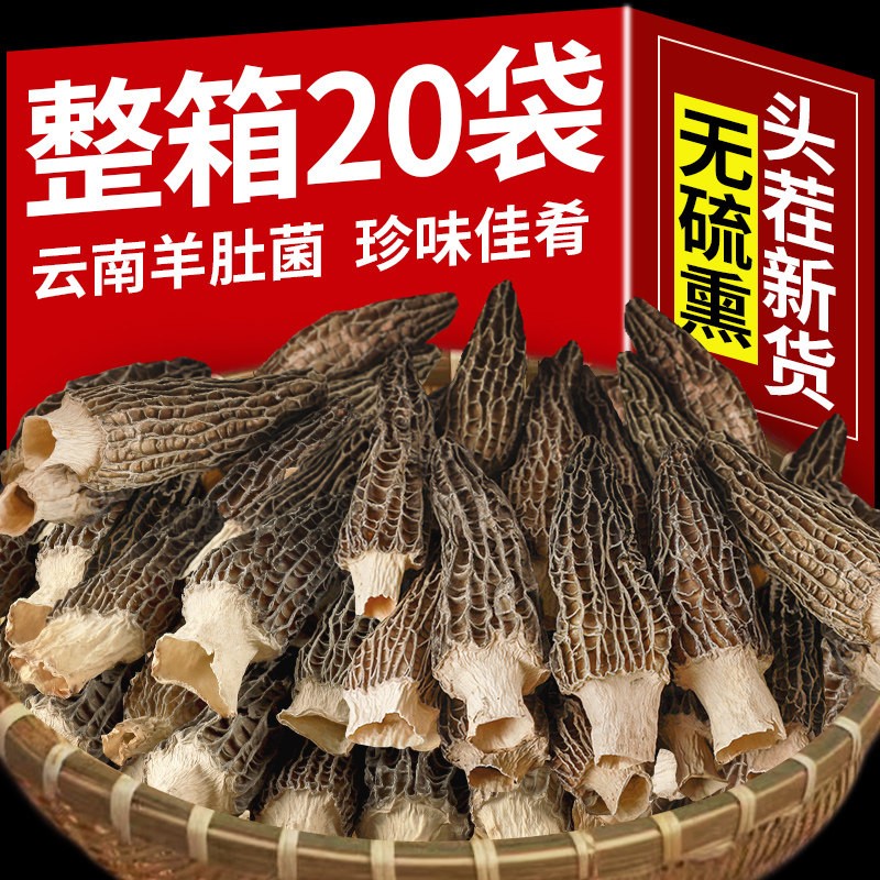 羊肚菌新货云南特产特野级生新鲜菌菇类汤料包煲汤羊肚菇干货食材