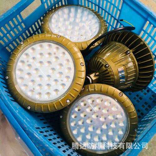 腾达80w免维护防爆灯厂房灯圆形IICT4加油站照明灯电厂平台灯