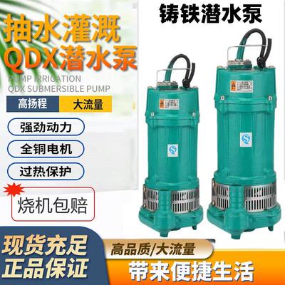 铸铁潜水泵220v排污380v高扬程大流量家用农用水井水塔污水排污泵